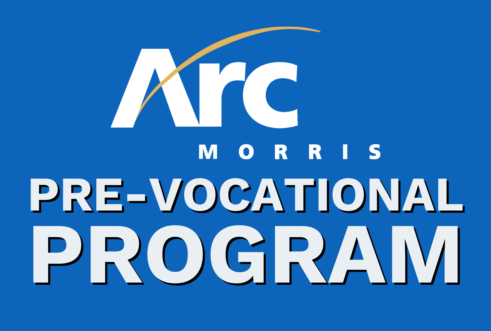 Pre-Vocational-Program-website-services.png